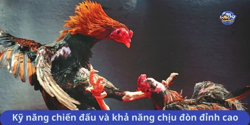 Kỹ năng chiến đấu và khả năng chịu đòn đỉnh cao